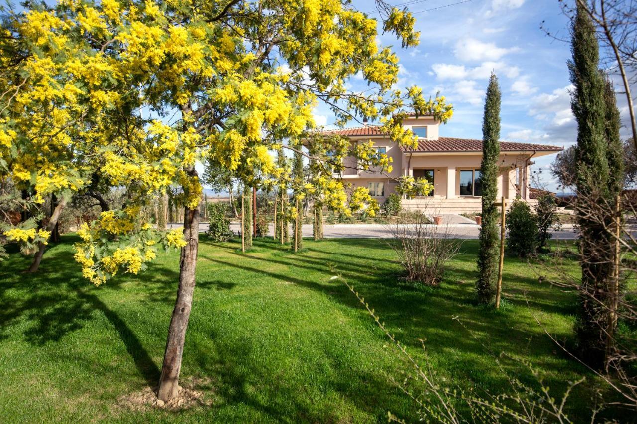 Villa Spaccasole Su Cortona 弗约诺德拉亚那 外观 照片